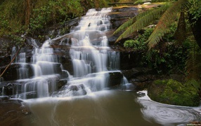 Водопад на черной скале в лесу