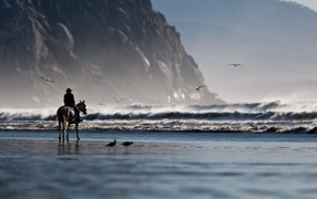 Одинокий всадник на берегу моря
