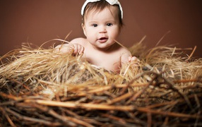 Малыш в гнезде из сена