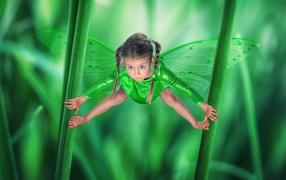 Маленькая зеленая фея