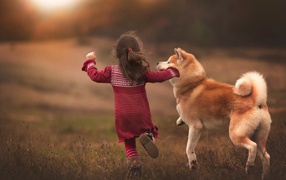 Девочка бежит по полю с собакой
