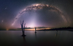 Остатки деревьев на озере под звездами