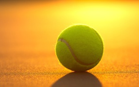 Sunlit tennis ball