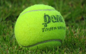 Теннисный мяч на газоне
