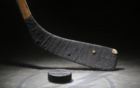 Hockey stick puck