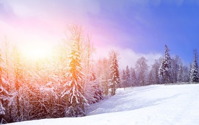 Зимний солнечный день 