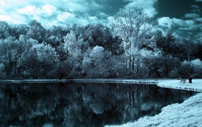 Покрытые инеем деревья на берегу зимнего озера