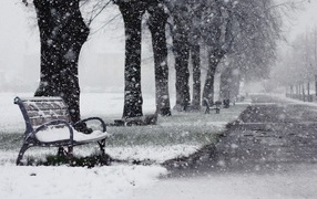 Густой снегопад на аллее парка