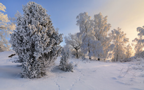 	   Winter in Sweden