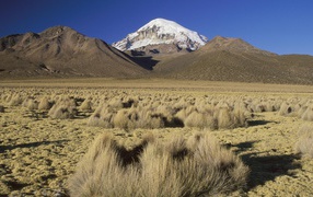 Суровый пустынный пейзаж в Боливии