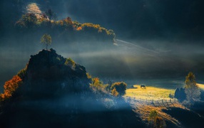 Горное пастбище в Румынии