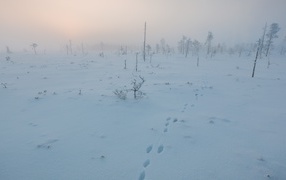 Покрытое снегом поле в Финляндии