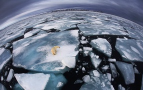 Архипелаг Шпицберген, между Норвегией и Северным полюсом