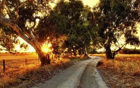 Сельская дорога в Австралии