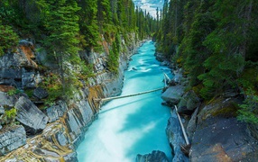 Blue River in the forest in Canada