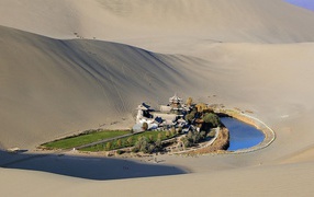 An oasis in the Gobi Desert. China