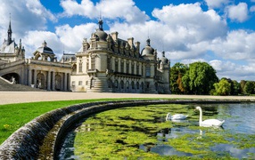 Лебеди в пруду у замка во Франции