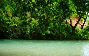 The greens above the river, Greece