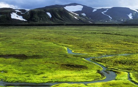 Green plain in Iceland
