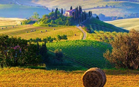 Farmers' fields in Italy