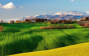 Green field in Italy