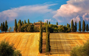Sloping field in Tuscany, Italy