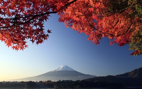 Red maple leaves on the background of Mount Fuji, Japan