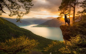 Олень на фоне заката в Норвегии