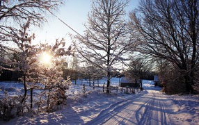 Зимняя дорога в Швеции