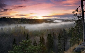 Национальный парк Нууксио Финляндия