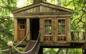 Уникальный отель на дереве в США