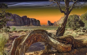 Сухое дерево в Долине монументов, США