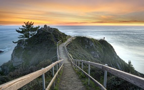 Милл Вэлли, Калифорния, США