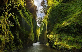 Река между отвесными скалами в Орегоне