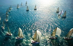 Парусные гонки во Флориде