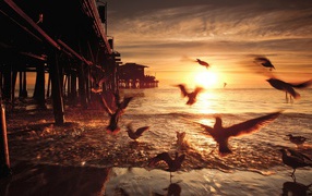 Закат в Санта-Монике. Калифорния, США