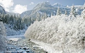 Йеллоустонский Национальный Парк , США
