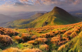 Красивый горный пейзаж в Украине