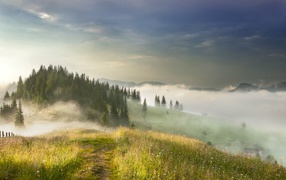 Fog in the Carpathian Mountains, Ukraine