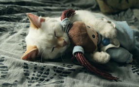 Маленький котенок спит с мягкой игрушкой