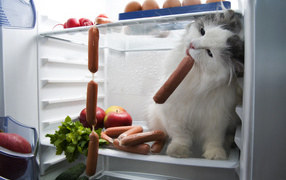 Кот ворует сосиски с холодильника
