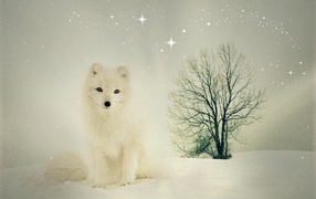 White fox sits in the snow near a dry tree