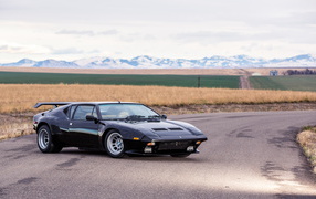 Black fast car De Tomaso Pantera against the background of the field