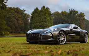 Спортивный автомобиль Aston Martin one-77 стоит на газоне