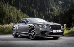 Silver car Bentley Continental GT on the background of the forest