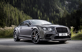 Серебристый автомобиль Bentley Continental GT на фоне леса 