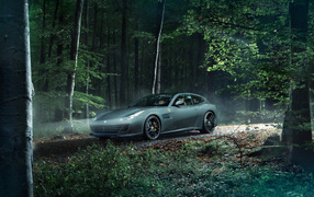 Автомобиль Ferrari GTC4Lusso, 2017 едет по лесу