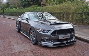Серебристый автомобиль Ford Mustang CS800, 2017 