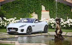 Белый автомобиль кабриолет Jaguar F-Type у фонтана