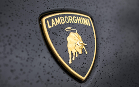 Логотип Lamborghini в каплях дождя крупным планом